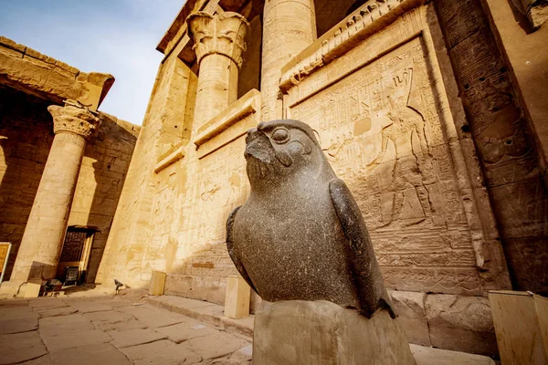 Statue Faucon Horus Dieu Temple Horus Temple Edfu Egypte — Photo