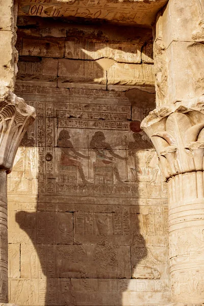 Hieróglifos Templo Edfu Hórus Egito Idfu Edfou Behdet — Fotografia de Stock