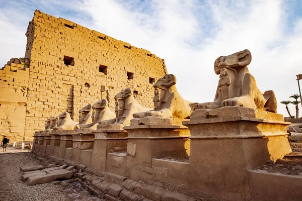 Templo Karnak Luxor Atardecer Ram Encabezó Estatuas Esfinge Frente — Foto de Stock