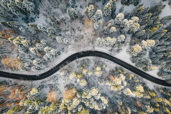 Estrada Inverno Rodeada Árvores Cobertas Neve — Fotografia de Stock