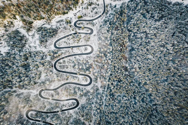 森の中の雪に囲まれた曲がりくねった道の季節の風景 — ストック写真