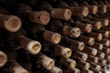 Toz ve örümcek ağı bir şarap mahzeni Fransa içinde closeup bir raf eski şarap şişeleri ile kaplı