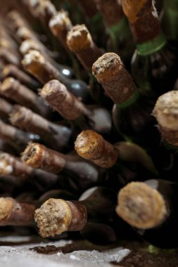 Şarap mahzeni eski şarap yaşlanma