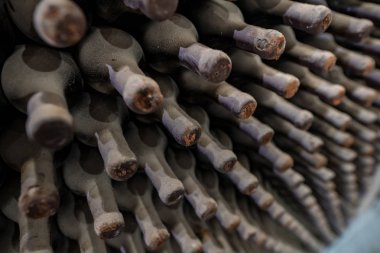 Şaraphane tozlu şarap şişe