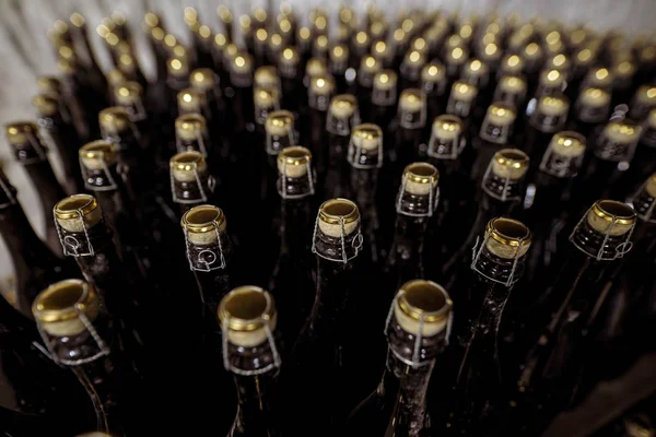 Sparkling wine bottles pattern in a modern winery