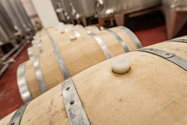 Barricas Vino Una Bodega Moderna — Foto de Stock