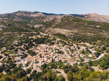 Thasos Adası, ünlü için onun eski zeytin ağaçlarının ortasında Maries Köyü