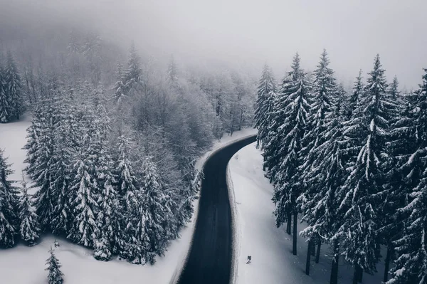 Estrada misteriosa de Inverno na floresta. Vista aérea o um enrolamento — Fotografia de Stock