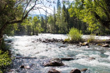 Çok güzel dağ altay