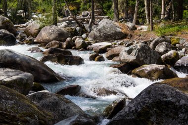 Çok güzel dağ altay