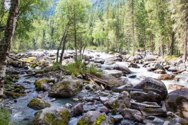 Çok güzel dağ altay