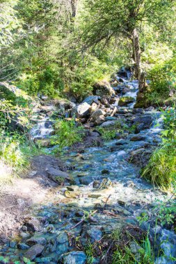 Çok güzel dağ altay