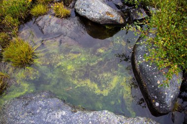 Çok güzel dağ altay