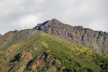 Çok güzel dağ altay