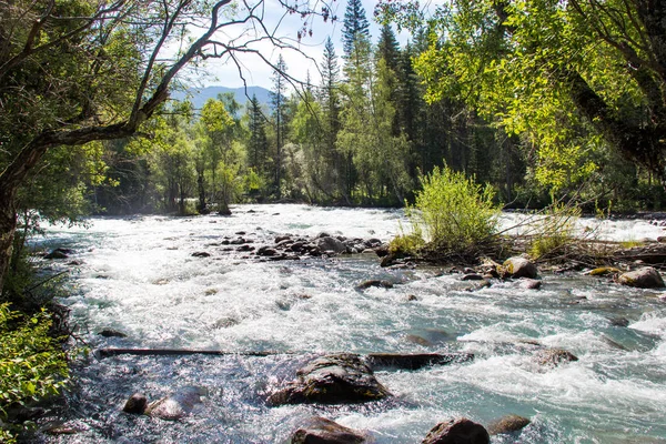 Çok güzel dağ altay