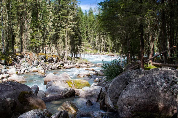 Çok güzel dağ altay