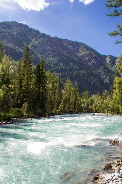 Çok güzel dağ altay