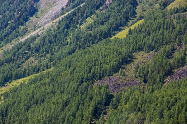 Muito Bela Montanha Altai — Fotografia de Stock