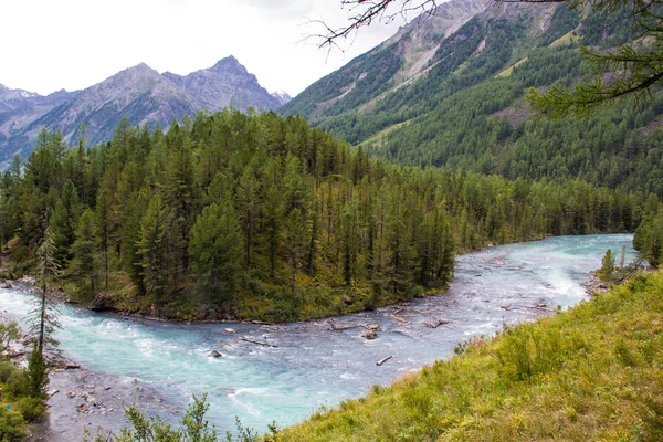 Muy Hermosa Montaña Altai —  Fotos de Stock