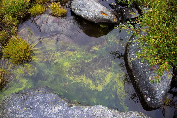 Çok güzel dağ altay