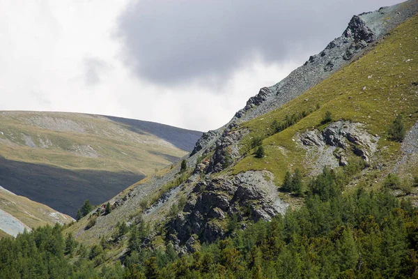 Çok güzel dağ altay