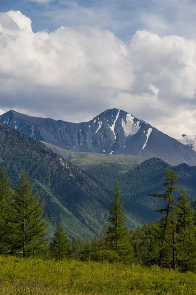 Mycket Härligt Berg Altai — Stockfoto