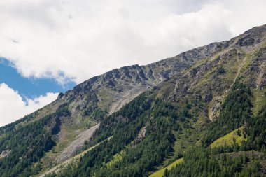 Çok güzel dağ altay