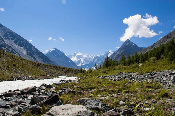 Muy Hermosa Montaña Altai Imagen de stock
