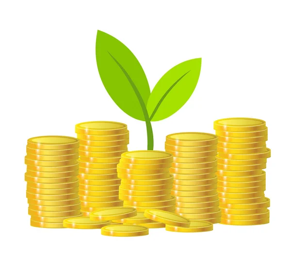 Πράσινο Φυτό Και Νομίσματα Χρυσού Χρήματα Πάνω Από Λευκό Φόντο — Διανυσματικό Αρχείο