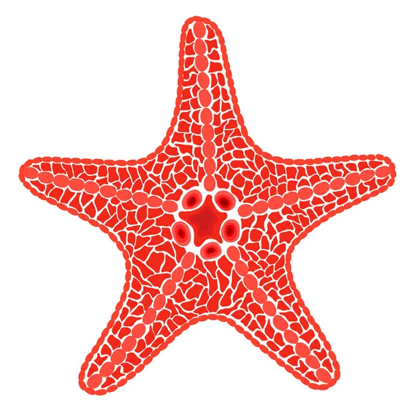 Vörös Tenger Csillag Hal Vektoros Illusztráció — Stock Vector