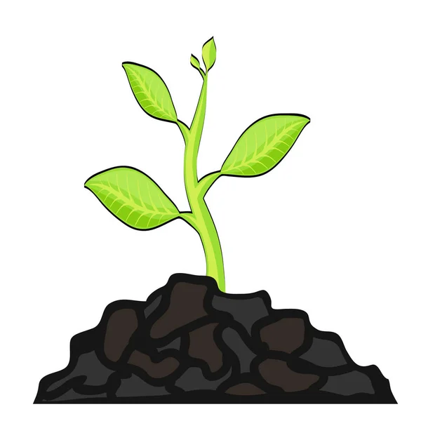 Növekvő Növény Vetőmag Rajzfilm Stílusú Tervezési Vektor Stock Illusztráció — Stock Vector