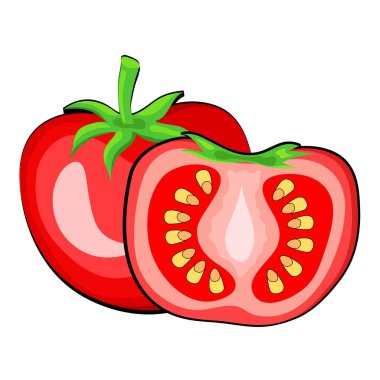 Beyaz çizgi film Domates sebze. El çizmek vektör çizim, eps 10