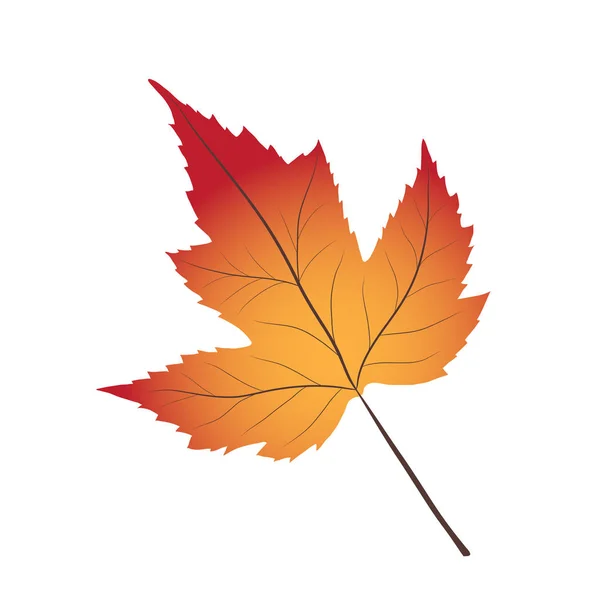 Hoja de otoño brillante rojo y amarillo sobre blanco, vector de stock illustr — Vector de stock