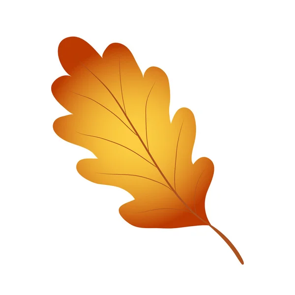 Feuille de chêne d'automne rouge vif, jaune et marron sur blanc, stock vec — Image vectorielle