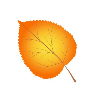 Parlak turuncu anf sarı huş ağacı yaprağı beyaz, stok vektör 
