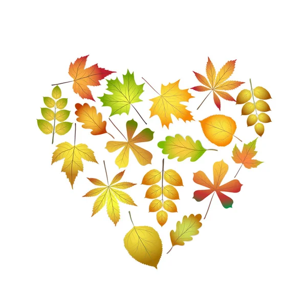 Leuchtend bunte Herbstblätter Herz für Design auf weiß, Stock v — Stockvektor