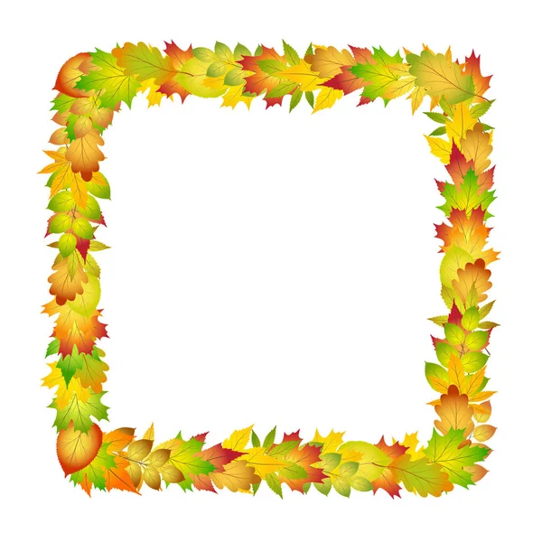 Marco colorido brillante de las hojas del otoño para el diseño en blanco, acción v — Vector de stock