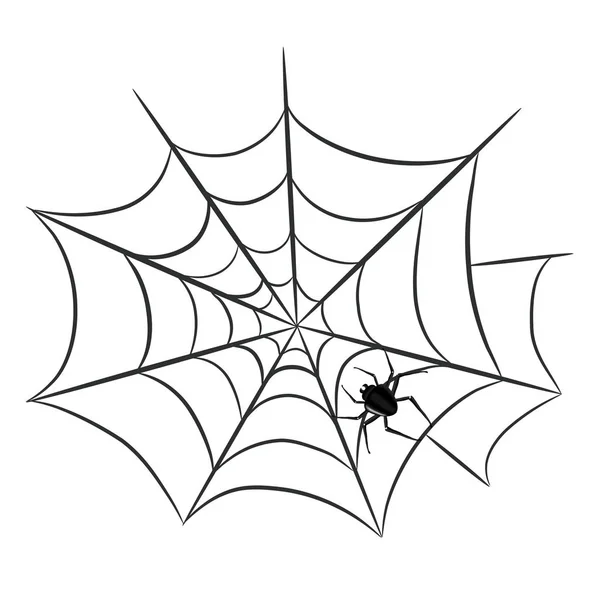 Spider web on white background Stock Vector Image by ©Ann_Precious ...