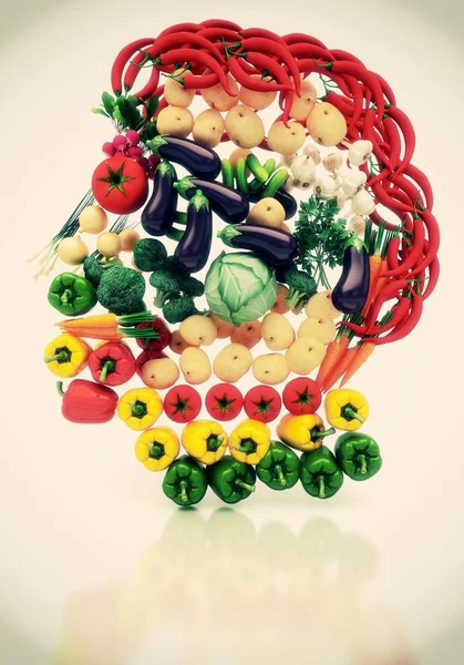 Retrato Rosto Com Legumes Frutas Arcimboldi Vegan Ilustração — Fotografia de Stock