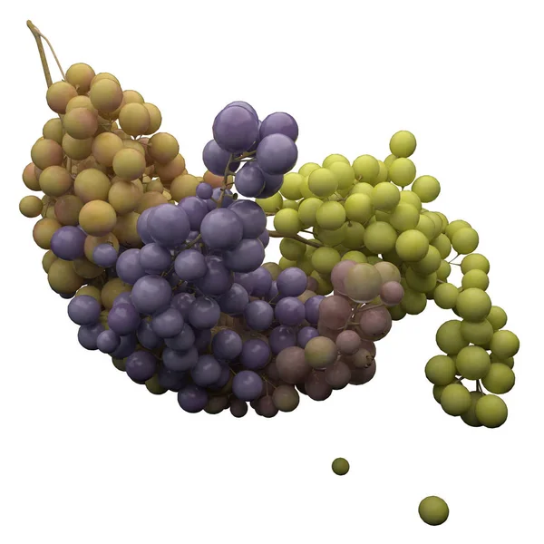 Bunch of grapes with bottle of wine, 3d illustration