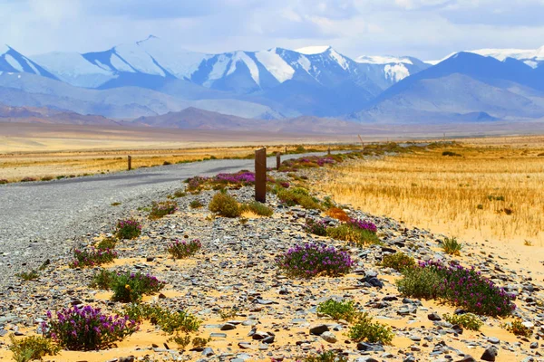 Горная дорога. Пейзаж. Памир. Таджикистан. Памирское шоссе — стоковое фото