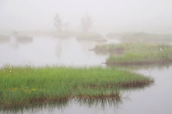 Heavy Fog Northern Marshes Tundra — Stock Photo, Image