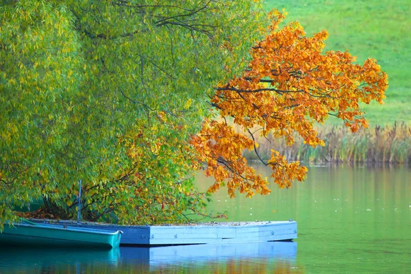 Bright Colors Autumn City Park — Stock Photo, Image