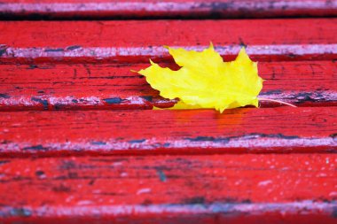 Sonbaharda sembolik soyut doğa arkaplanı