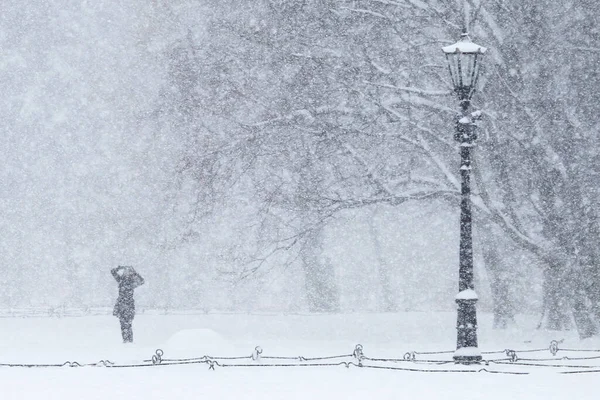 Sneeuw Achtergrond Een Stad Park Winter — Stockfoto