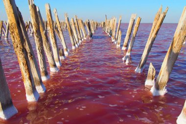 İnsan faaliyetlerinin geçmişi. İnsanın ve doğanın çevre üzerindeki etkisi.