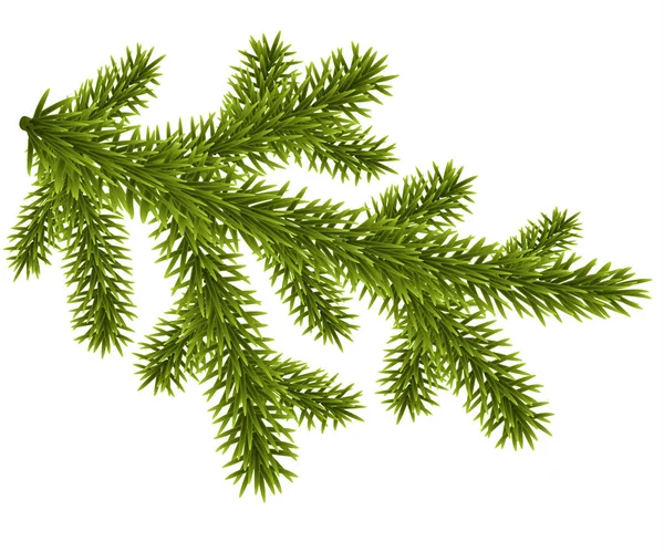 Träd Jul Gren Isolerade Vitt Vektorillustration — Stock vektor