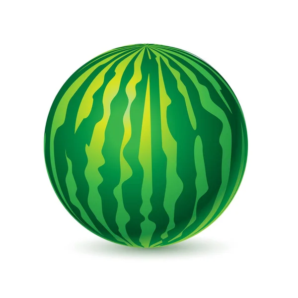 Watermelon Isolated White Background — Stock Vector