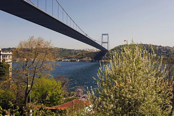 A beautiful view of bosporus sea, bridge and Istanbul