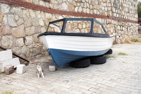 Egy Csónak Autó Kerekek Egy Utcai Macska Utcán Bodrum Törökország — Stock Fotó